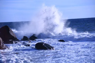 DSC_0598 (Large).JPG